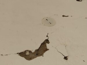 IMG-20221122-WA0007